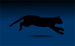 大黑猫奔跑flash矢量动画